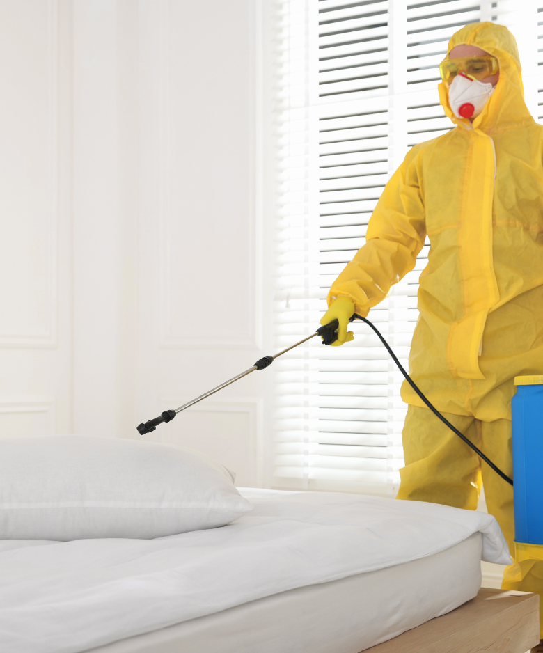 Professional Pest Control Team in Flagstaff Hill